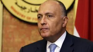 وزير الخارجية يبحث مع الإمام الأكبر دعم دور الأزهر الشريف خارجياً