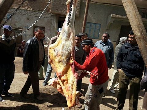 ضبط 20 كجم لحوم غير صالحة بمركز القوصية كجمو 78 أخرى مذبوحة خارج السلخانة