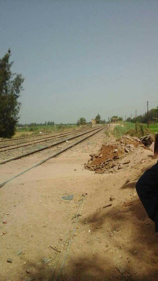 بالصور| العميد عادل شرشر يواصل الحرب علي بلطجيه املاك الدوله