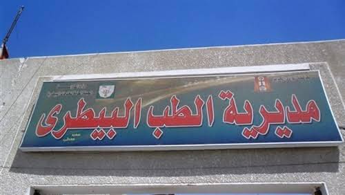 إعدام ٥٢ كلب خلال حمله لمكافحة الحيوانات الضالة بالوادى الجديد