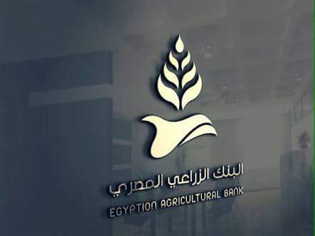 دراسه إنشاء شركة زراعية كبرى بالوادى الجديد 