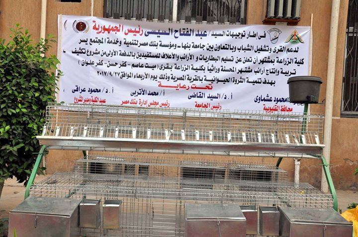 محافظ القليوبية يقوم بتسليم بطاريات الأرانب بكلية زراعة مشتهر