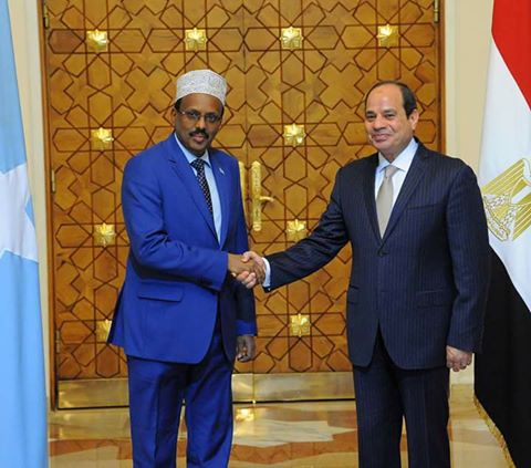 الرئيس السيسى يتلقى اتصالا هاتفيا من الرئيس الصومالى