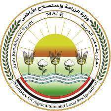 ”الزراعة” تعلن عن الإجراءات المطلوبة من الشركات الراغبة في تصدير الحاصلات الزراعية للدول العربية