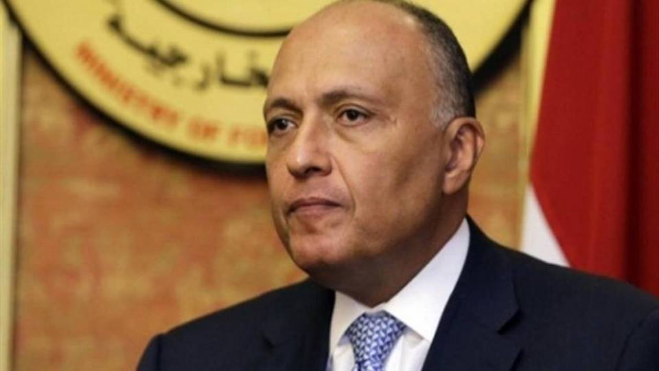 وزير الخارجية يؤكد على محورية التعاون والتكامل الإقليمي والدولي