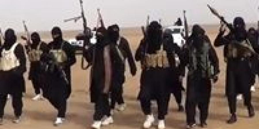 إرهابيون يذبحون سائق في سيناء
