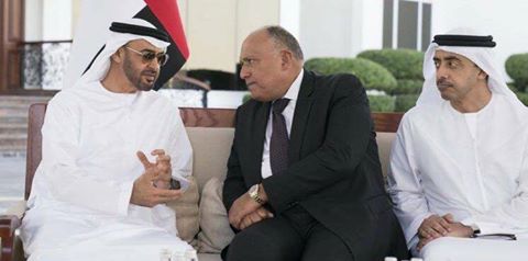 سامح شكري يبحث مع ولي عهد أبو ظبي تطورات الأوضاع في المنطقة وسبل تعزيز العمل العربي المشترك