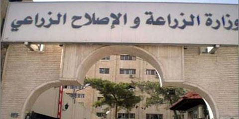 ”الزراعة” و ”الفاو” يعقدان منتدى دولي للاستثمار في ديسمبر المقبل