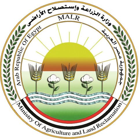 وزير الزراعة: ارتفاع الصادرات الزراعية الى 4.8 مليون طن بزيادة 500 ألف طن عن العام الماضي