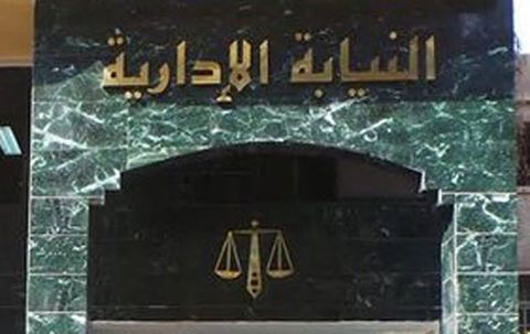 مناشدة سيدة لمستشاري هيئة النيابة الادارية