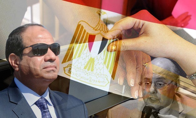 استعداد المصريين المغتربين للتصويت في الانتخابات الرئاسية