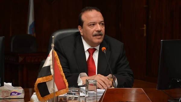 سبع : السيسى رمز لأحلامنا ومشروعاتنا القومية الكبرى فى الحاضر والمستقبل