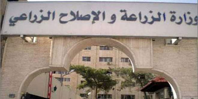”الزراعة” تخصص خط ساحن لتلقي بلاغات التعدي على الأراضى الزراعية خلال فترة الإنتخابات