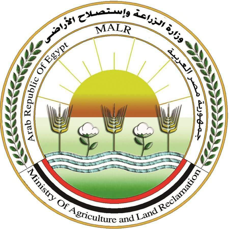 الزراعة: ضبط 10 طن لحوم ودواجن وأسماك فاسدة في 4 محافظات