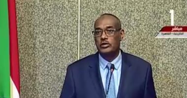 الدرديرى يؤكد علي قدسية العلاقات المصرية السودانية وانها خط أحمر