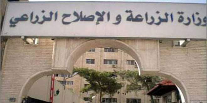 الزراعة: 13مليون جنيه حصيلة بيع 22 قطعة بالمزاد العلني في 5 محافظات