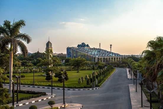 أمريكا تدعم رواد الأعمال المصريين لصقل مهاراتهم الإبداعية
