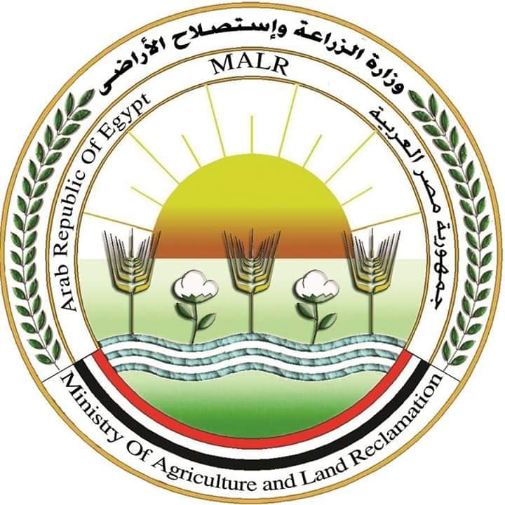 726 كلبا وقطة خرجت من البلاد بصحبة مالكيها خلال العام الجاري