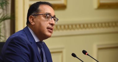 مجلس الوزراء يؤكد علي منح الفنادق العائمة ببحيرة ناصر مهلة حتى 30 أبريل