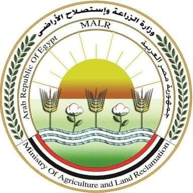 الزراعة": ضبط أكثر من 27 طن لحوم ودواجن واسماك غير صالحة للاستهلاك الأدمي في 19 محافظة