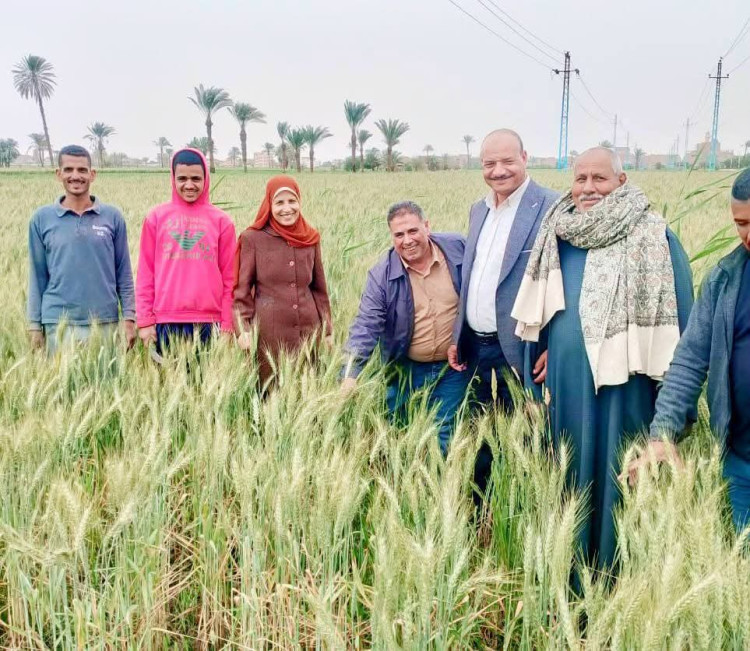وكيل وزارة الزراعة بالفيوم يتفقد الزراعات في ثانى أيام إجازة عيد الفطر "بطامية" لمتابعة سير العمل