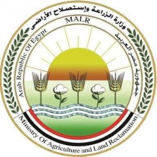 وزارة الزراعة تعلن مجموعة إرشادات للمزارعين حول كيفية التعامل مع دودة الحشد الخريفية