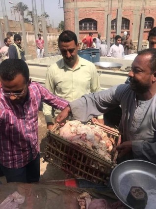 صقور الطب البيطري يضبط 200 كيلو لحوم في البلينا