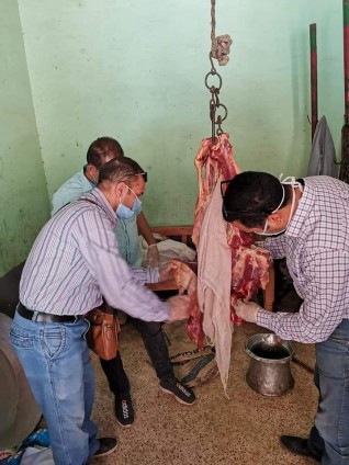 ضبط 80 كيلو لحوم غير صالحة للاستهلاك الآدمي بسوهاج