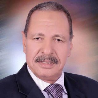 أمين الجبهة الوطنية بالوادي الجديد يهنئ الشعب المصرى بذكري ثورة 23 يوليو