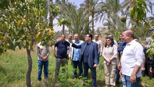رئيس جامعة القاهرة يتفقد محطة التجارب والبحوث الزراعية بكلية الزراعة لمتابعة التشغيل ورفع كفاءة المحطة وتعظيم دورها التعليمي